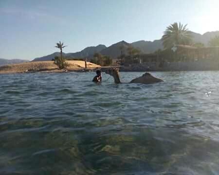 Nuweiba` Sebaii Camp السباعى كامب شاطئ الترابين بجوار ويت بالس 호스텔 외부 사진