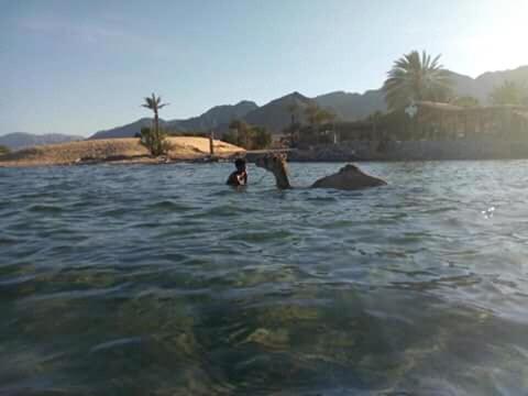 Nuweiba` Sebaii Camp السباعى كامب شاطئ الترابين بجوار ويت بالس 호스텔 외부 사진