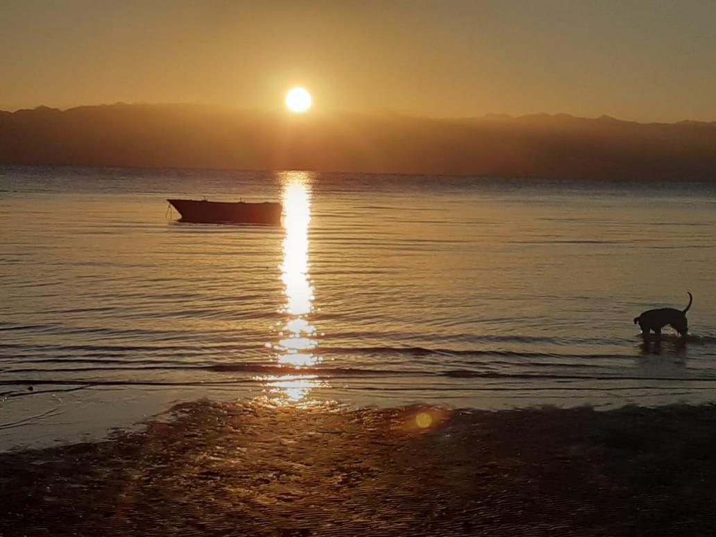 Nuweiba` Sebaii Camp السباعى كامب شاطئ الترابين بجوار ويت بالس 호스텔 외부 사진