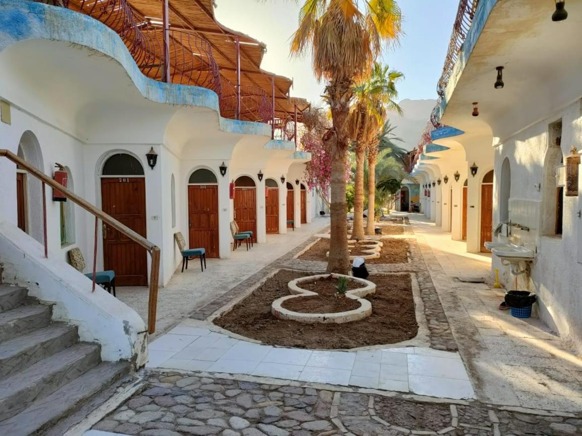 Nuweiba` Sebaii Camp السباعى كامب شاطئ الترابين بجوار ويت بالس 호스텔 외부 사진